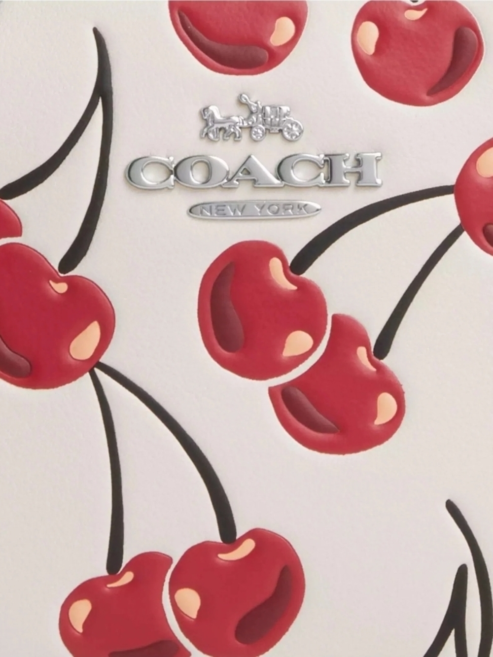 Coach Jamie Crossbody - Picture 4 of 9